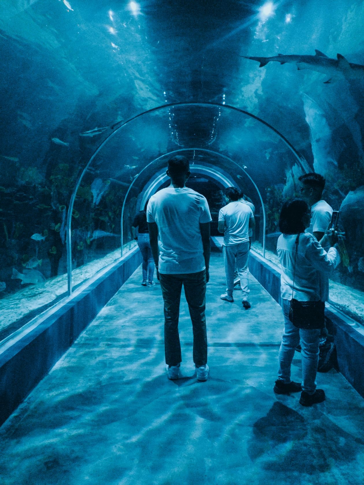 Aquarium tunnel with visitors